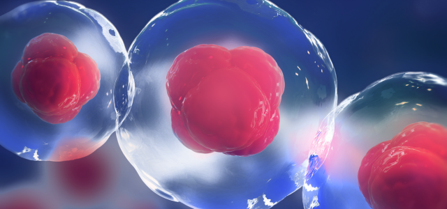 2024 Cell Therapy Market Opportunities