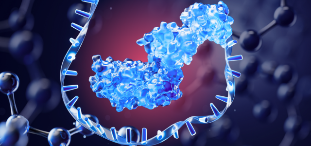 2024 RNA Insights and Trends